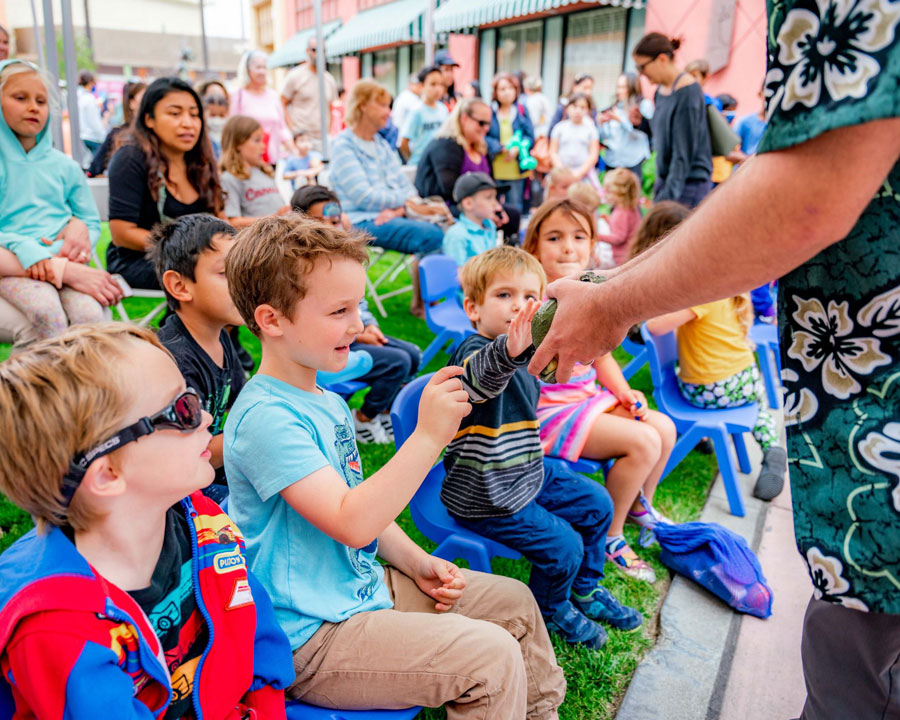 Kids Fun Zone – Friendly Frogs & Cheerful Bugs | Janss Marketplace