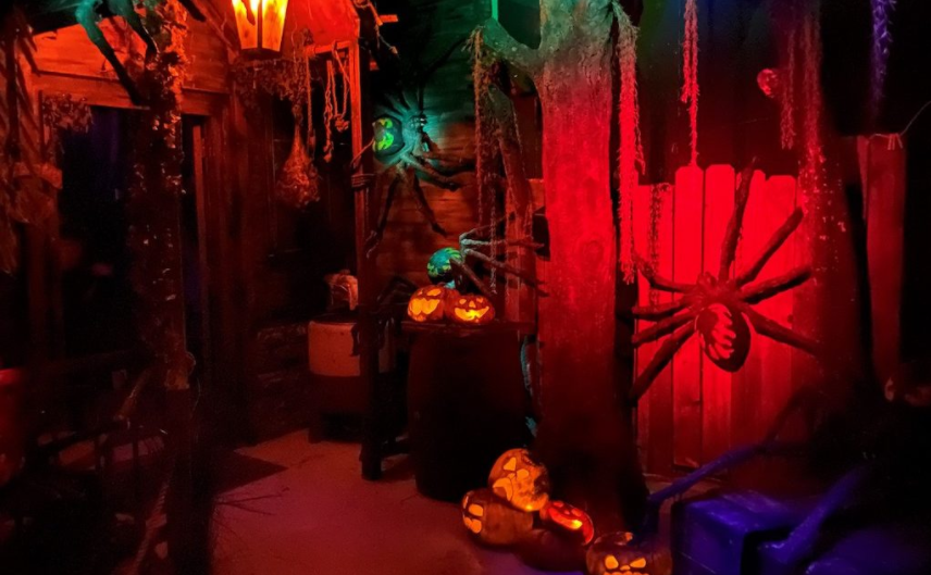 Reign of Terror | Janss Marketplace